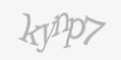 Защитный код