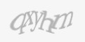 Защитный код