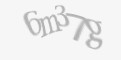 Защитный код