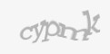 Защитный код
