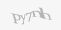 Защитный код