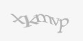 Защитный код