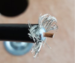 20160329_1247372