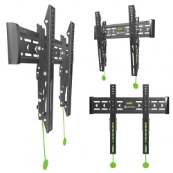48_1