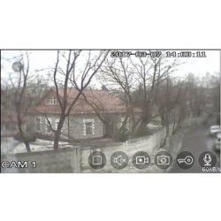 marilyn_8