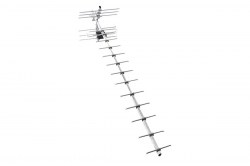 mir-19