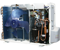 olympio-in3