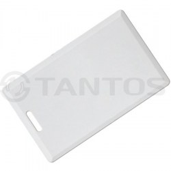 temic-tolstaya-ts_0