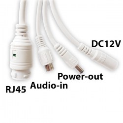 xubpcdds4cm0ahk_b46b29c54
